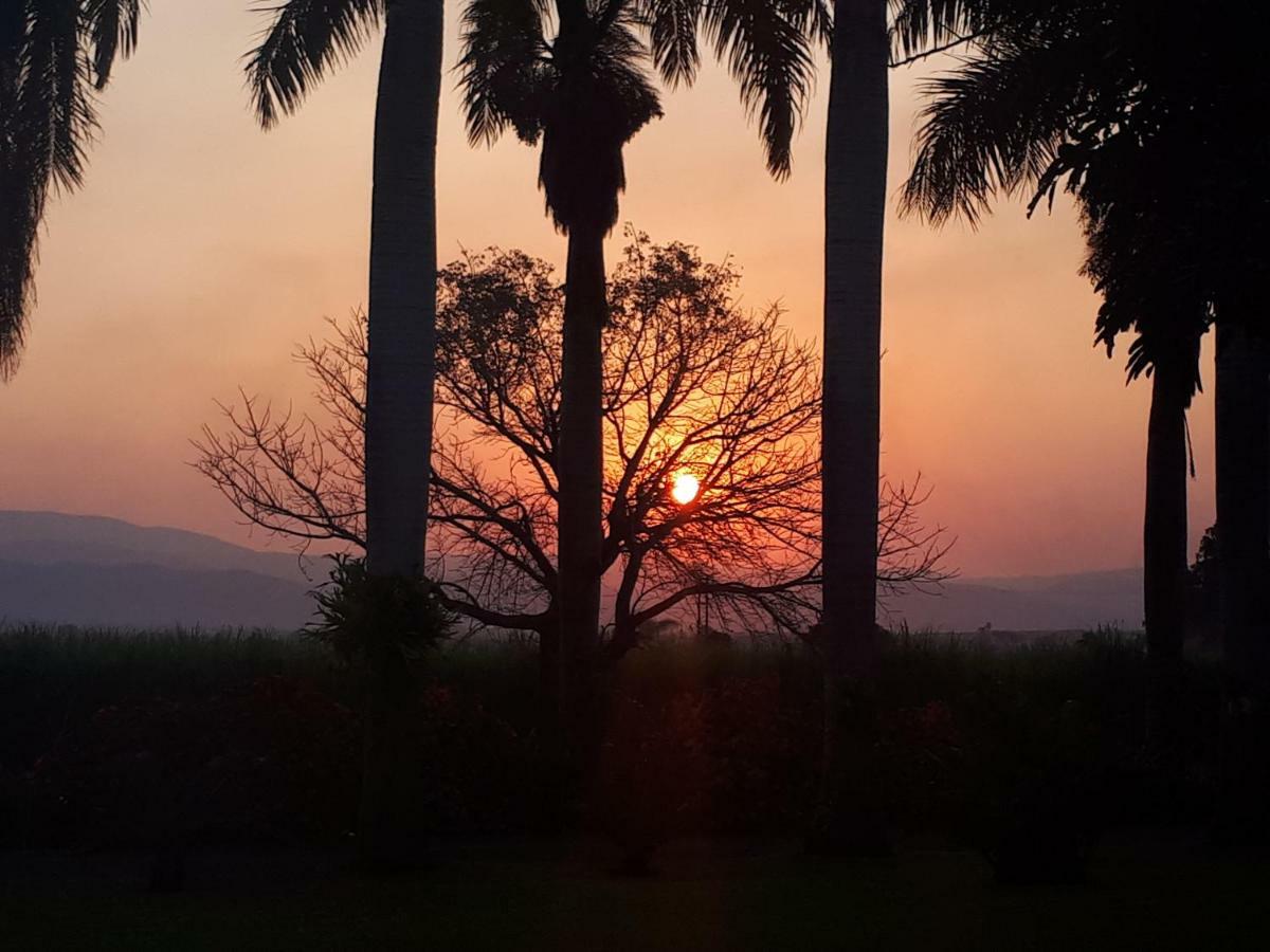 Rosegarden Guesthouse Pongola Dış mekan fotoğraf