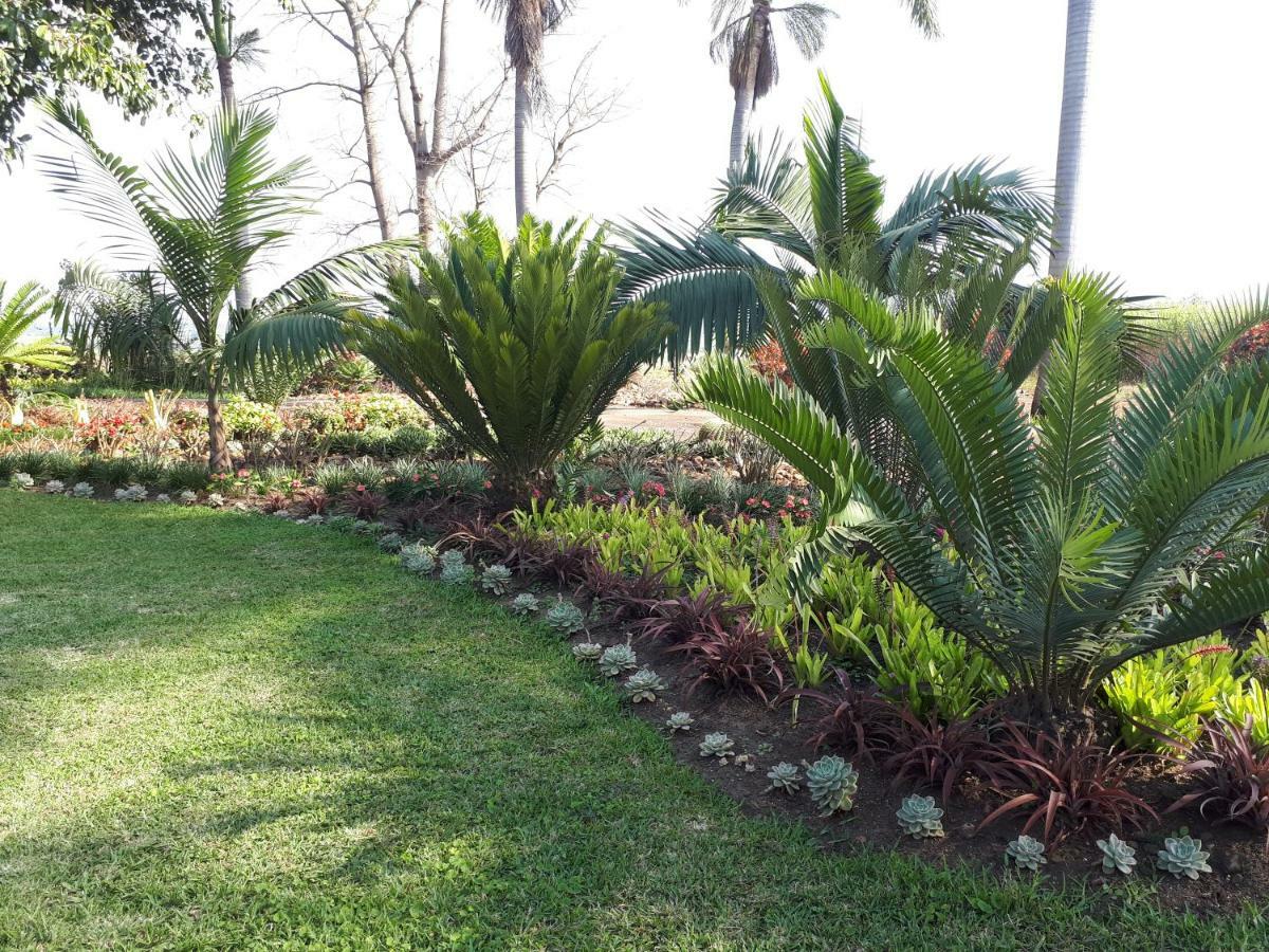 Rosegarden Guesthouse Pongola Dış mekan fotoğraf